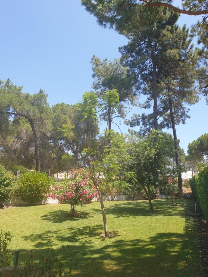 The Pinewood Villa Виламура Экстерьер фото